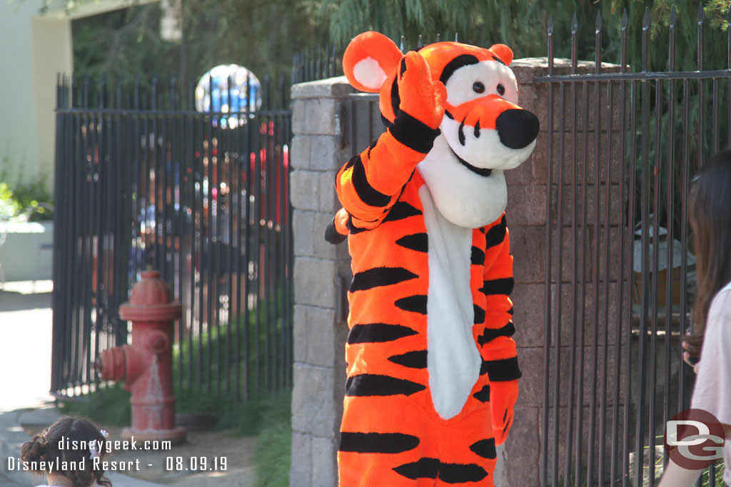 Tigger was out near the Matterhorn.