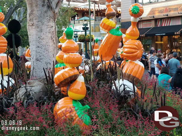 New decorations are in the planters this year for Halloween.