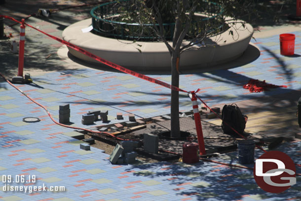 Pavers being installed around some of the trees still.