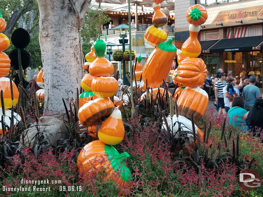 New decorations are in the planters this year for Halloween.