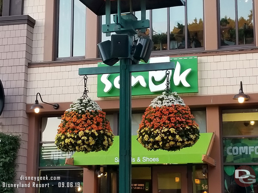 Downtown Disney hanging plants for Halloween Time - Candy Corn Acres flashbacks?