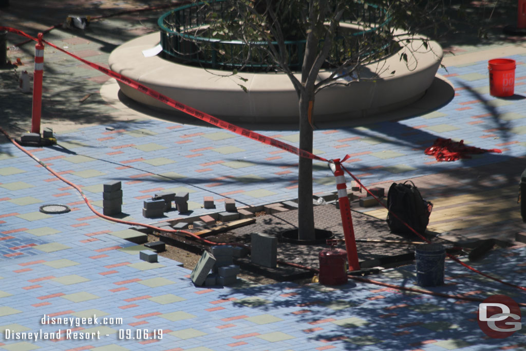 Pavers being installed around some of the trees still.