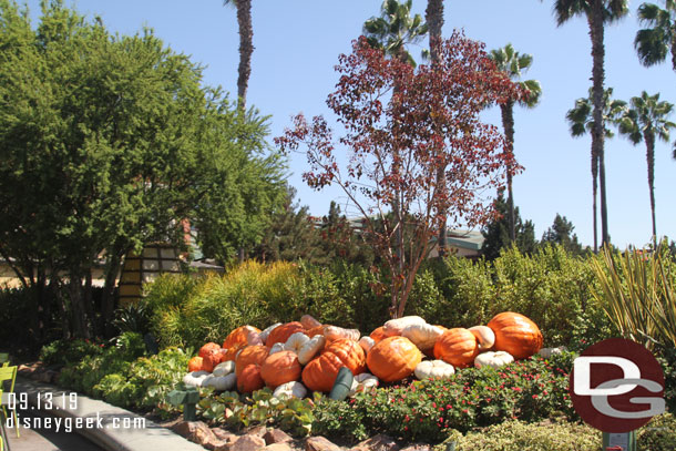 Some of the Halloween decorations in the planters of Downtown Disney.