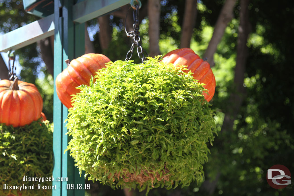 Halloween / Mickey inspired hanging plants.