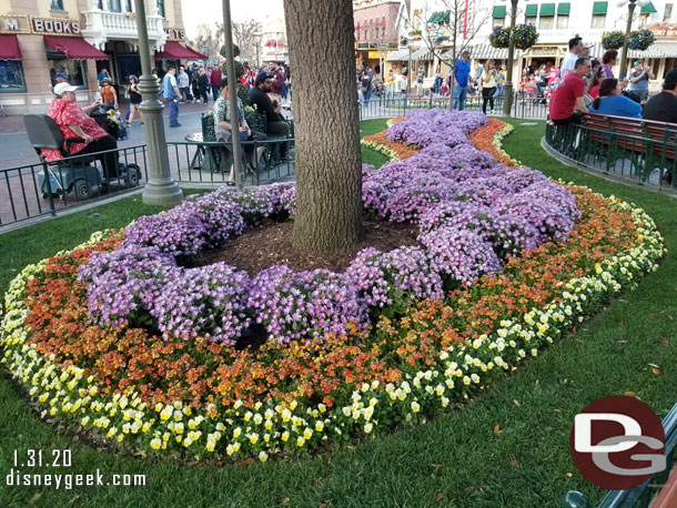 A look at the Town Square plantings while I wait for the Flag Retreat to start.