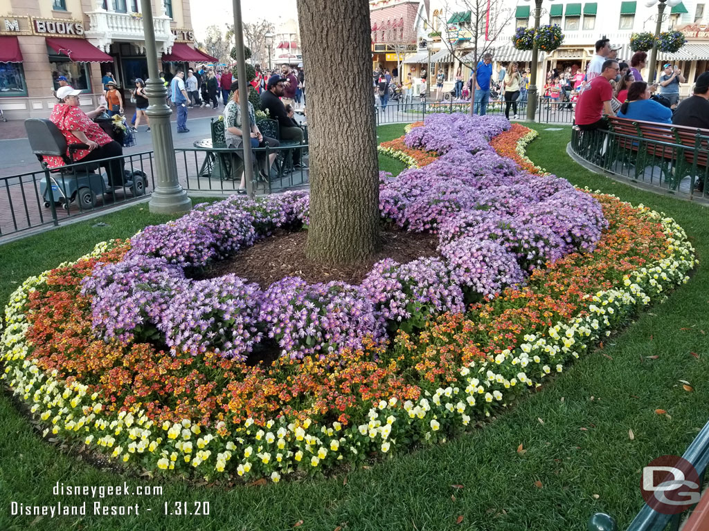 A look at the Town Square plantings while I wait for the Flag Retreat to start.