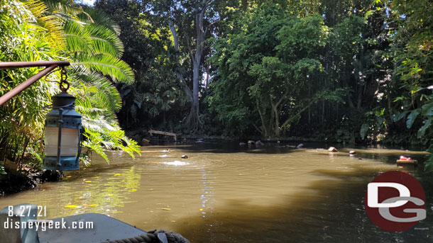 Approaching the hippo pool