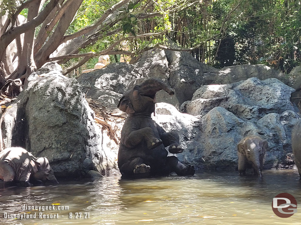 Passing through the Elephant pool