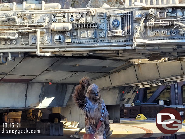 Chewie greeting guests