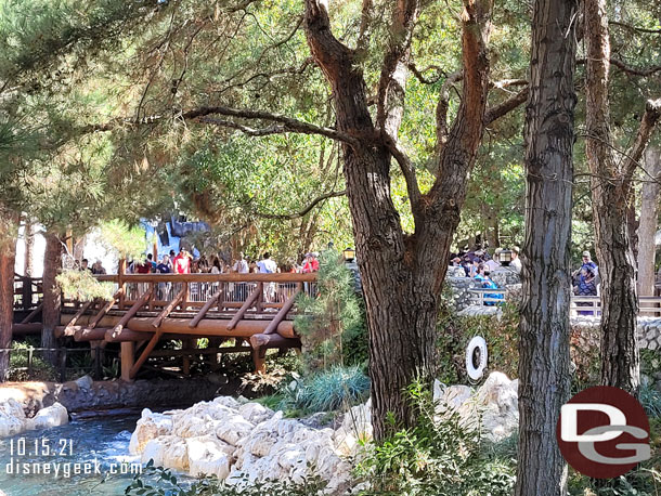 A look through the trees at the extended queue.