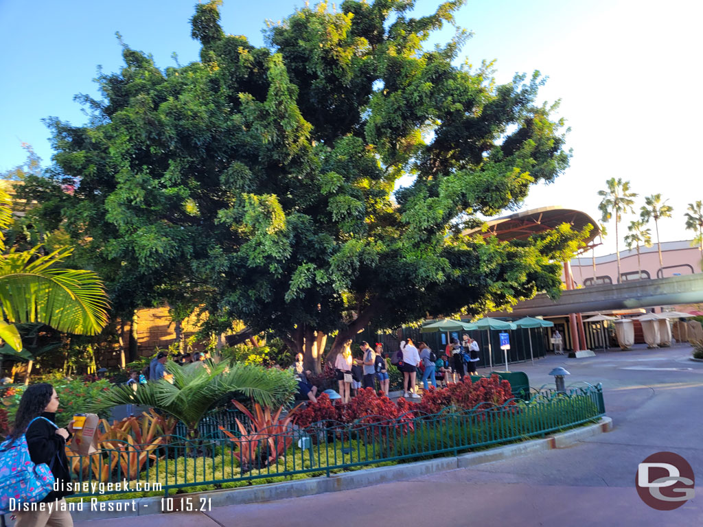 A small line forming for the Monorail.  I opted to keep walking vs waiting 20 minutes.