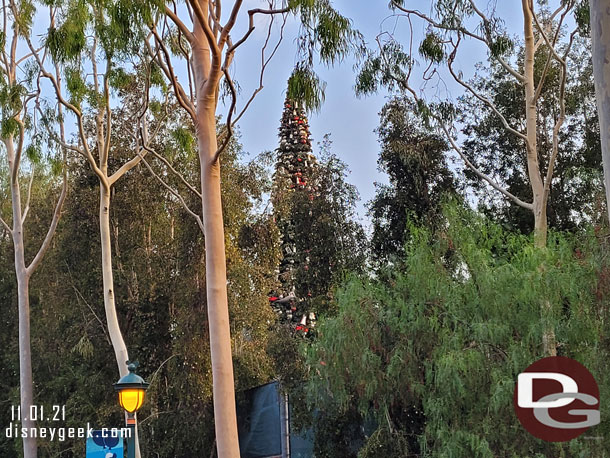 The Christmas tree was backstage awaiting installation on Main Street USA