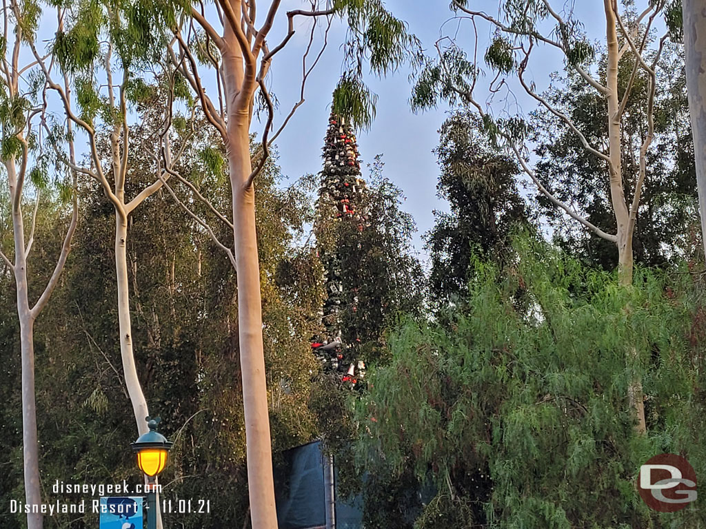 The Christmas tree was backstage awaiting installation on Main Street USA