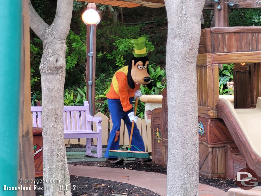 Spotted Goofy sweeping up his backyard.