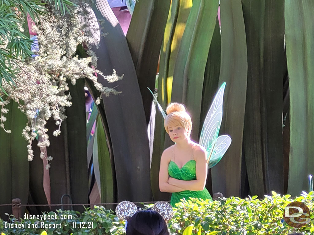 Tinker Bell out near her garden.