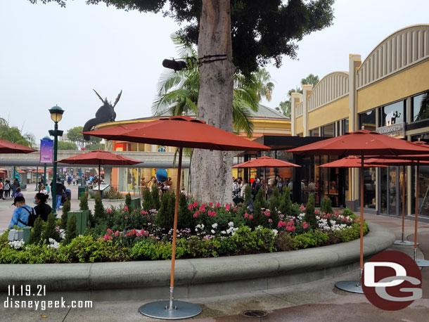 There are new holiday plantings and decorations throughout Downtown Disney.