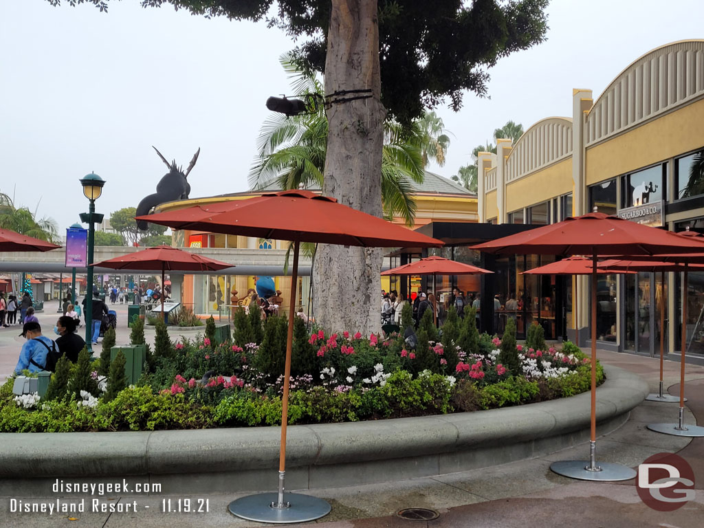 There are new holiday plantings and decorations throughout Downtown Disney.