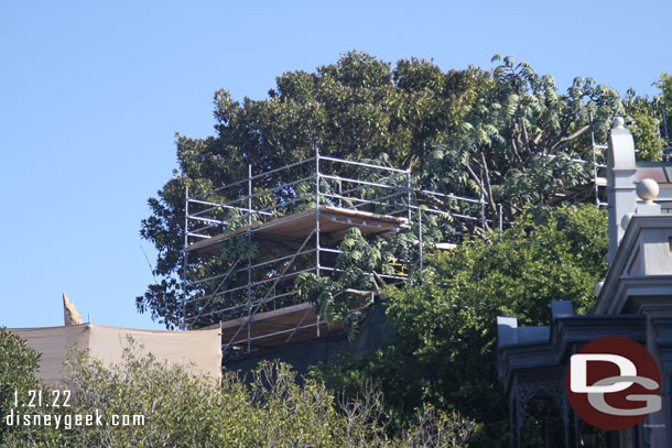 Scaffolding still up on Tarzan's Treehouse, no return date has been published yet.