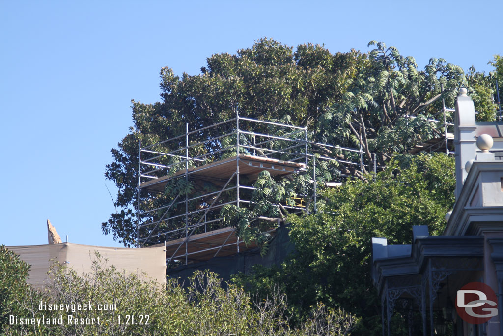 Scaffolding still up on Tarzan