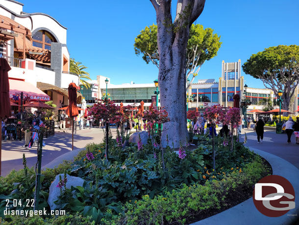 Spring plantings in Downtown Disney.