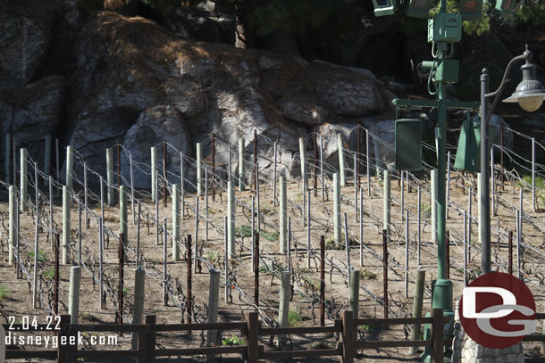 The vineyard has been trimmed down and is ready for the growing season.