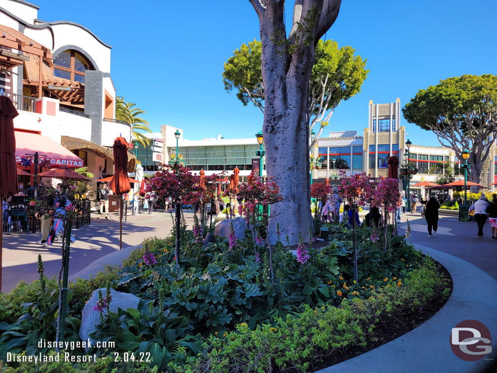 Spring plantings in Downtown Disney.