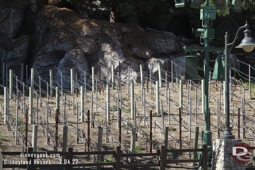 The vineyard has been trimmed down and is ready for the growing season.