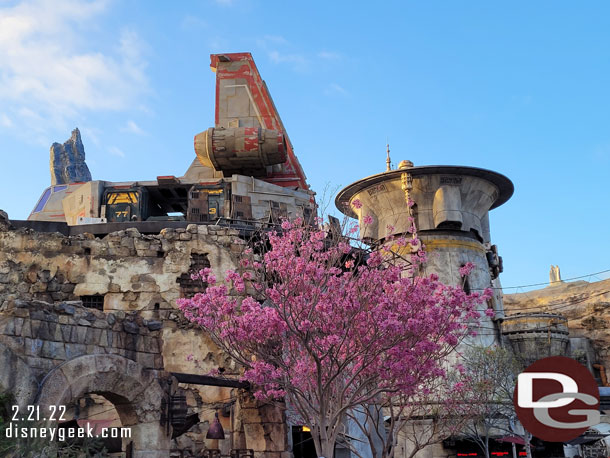 Several trees and flowers are in bloom throughout the park.  Here is a look at Black Spire Outpost.