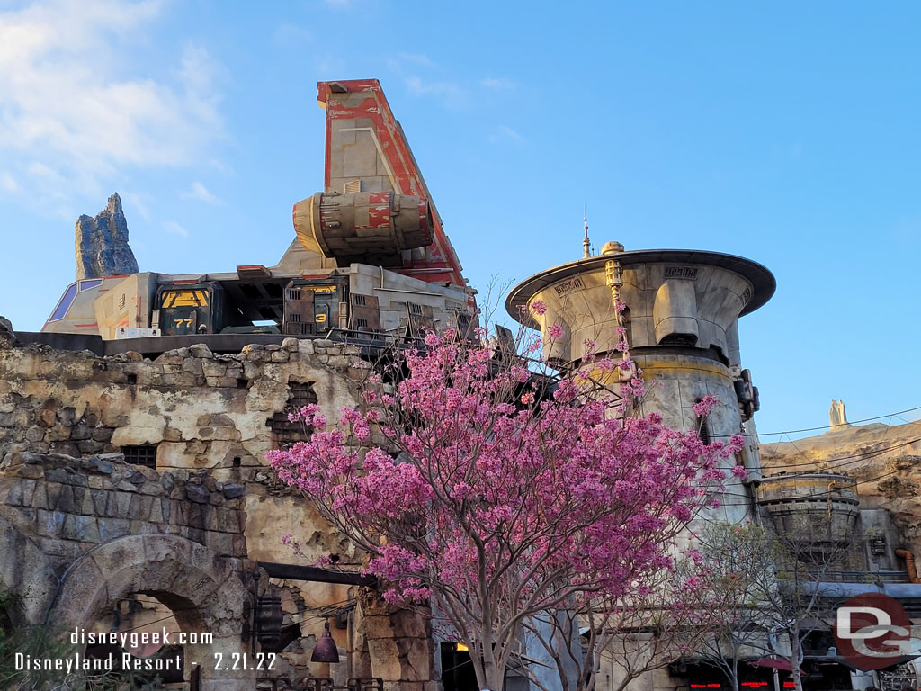 Several trees and flowers are in bloom throughout the park.  Here is a look at Black Spire Outpost.