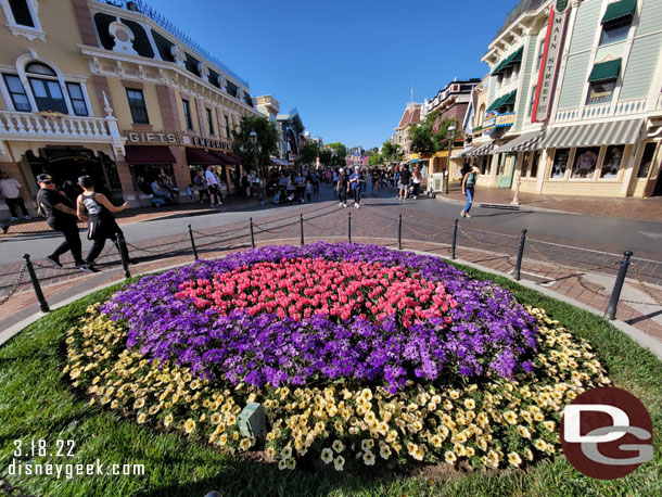 Town Square plantings