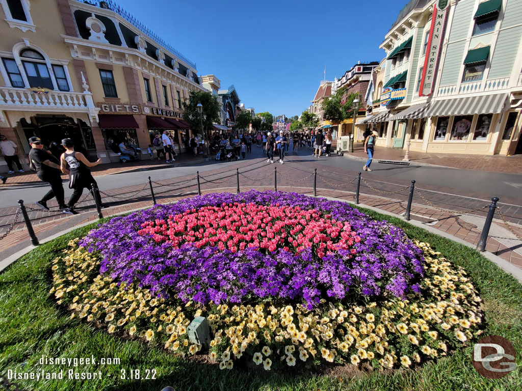 Town Square plantings