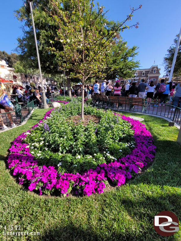 A check of some of the plantings in Town Square at Disneyland