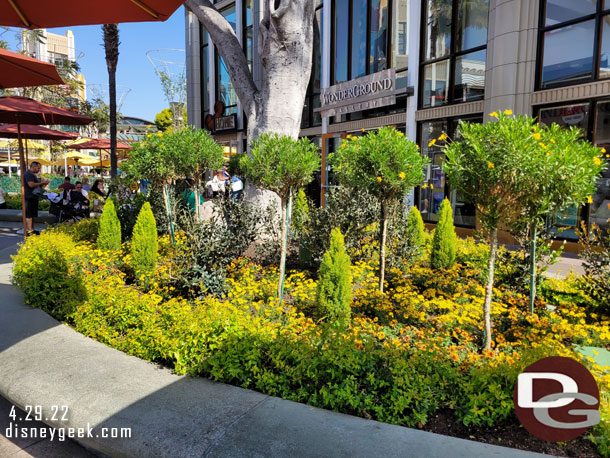 Some of the current plants in Downtown Disney