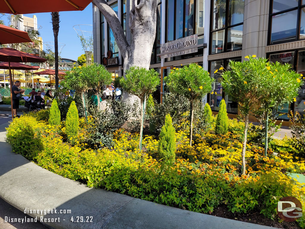 Some of the current plants in Downtown Disney