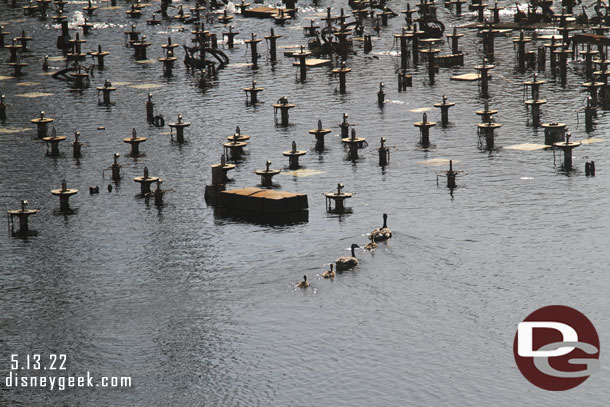 Some ducks checking out the equipment.