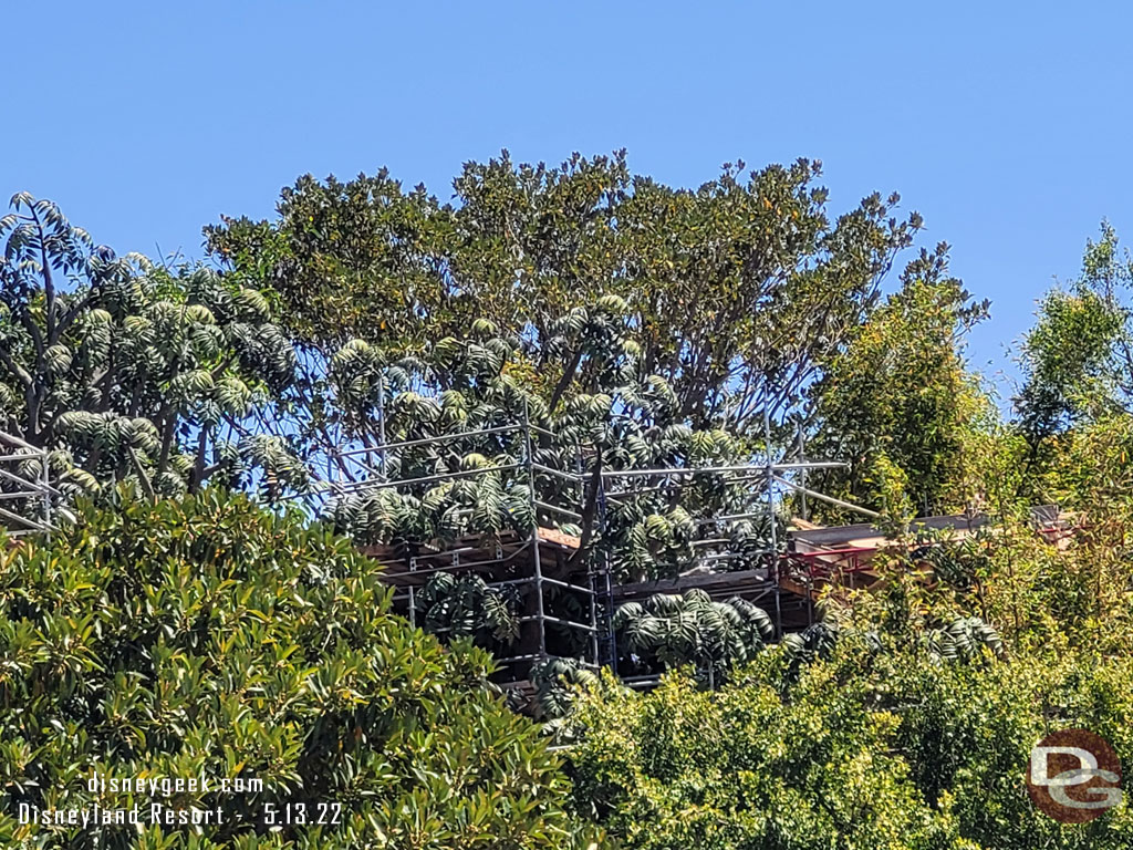 Hard to see any visible progress on the treehouse