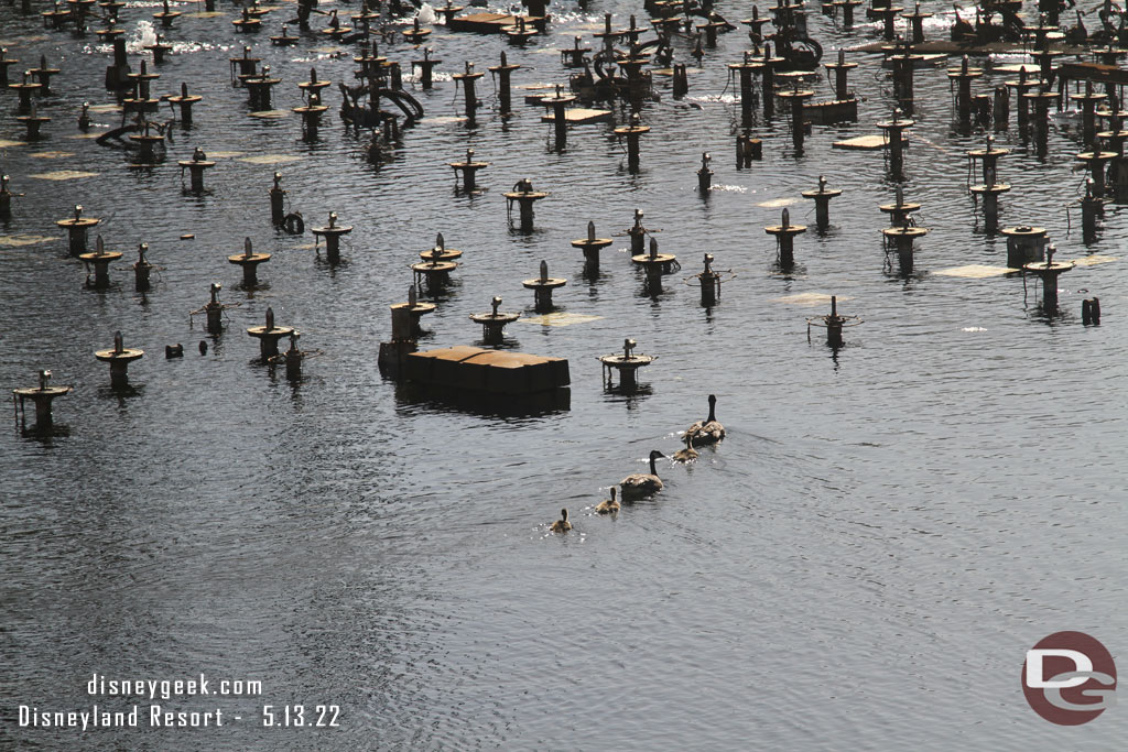 Some ducks checking out the equipment.