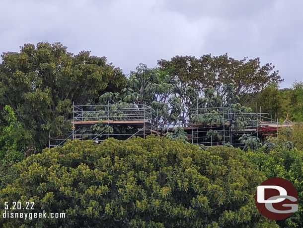 No real visible progress on the treehouse