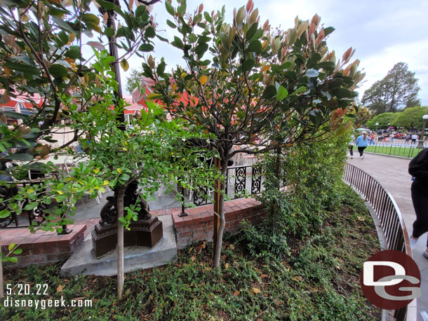 Some recently changes to the plants around Plaza Inn