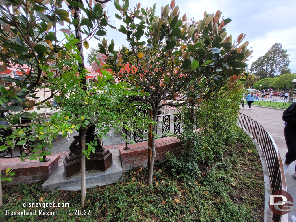 Some recently changes to the plants around Plaza Inn