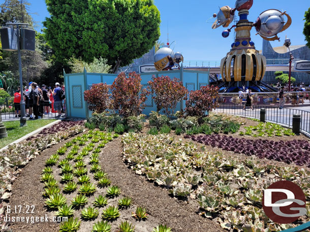 A look at the other side of the entrance plantings (north side, closer to the castle or the left side when looking at Tomorrowland).