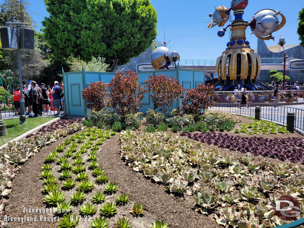 A look at the other side of the entrance plantings (north side, closer to the castle or the left side when looking at Tomorrowland).