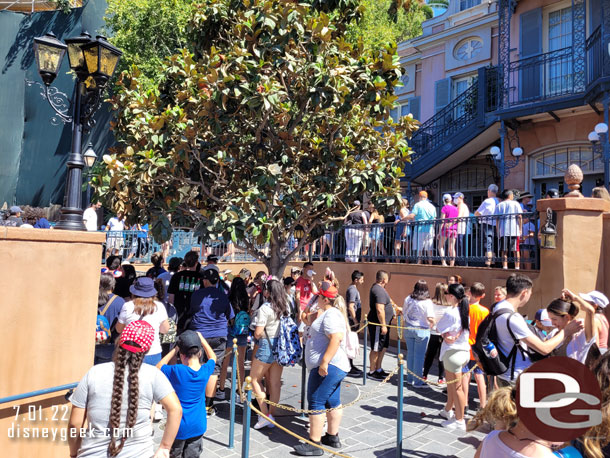 I choose to go to the left.  Interesting here the far left was a return line for those with passes and it went around the perimeter. My line curved close to the tree. A merge point with a cast member was at the bottom of the ramp.