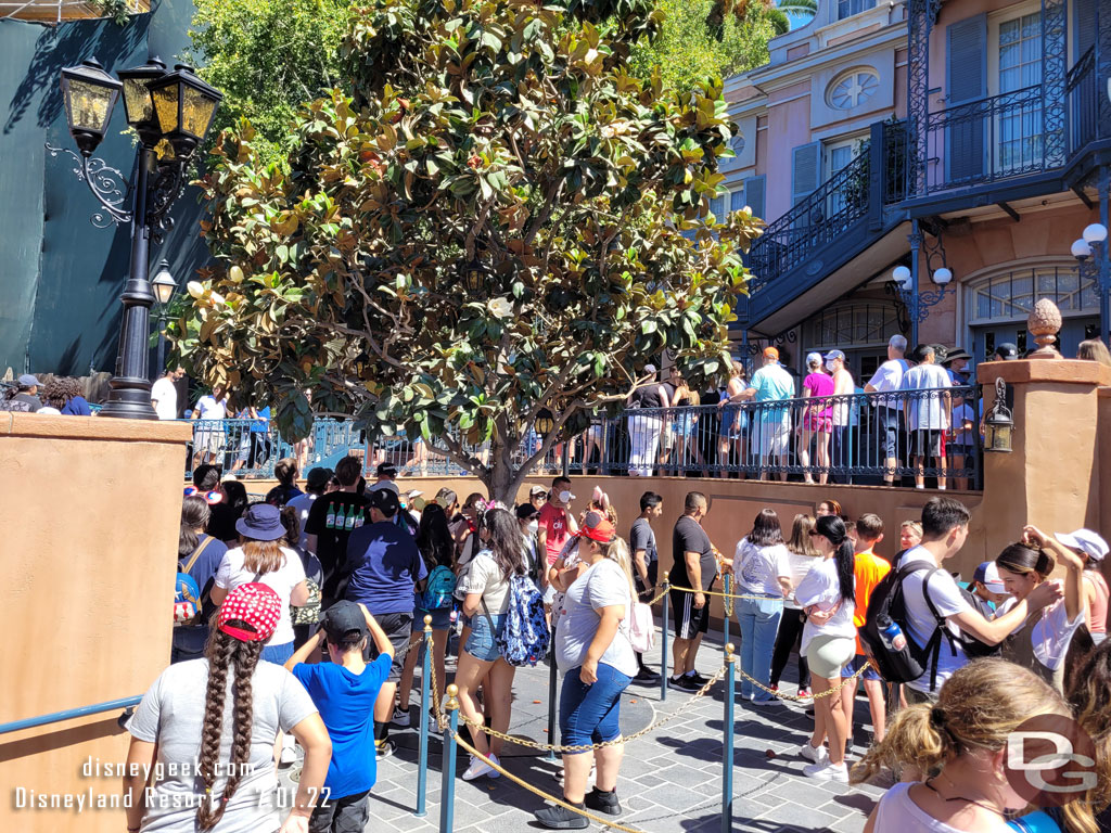 I choose to go to the left.  Interesting here the far left was a return line for those with passes and it went around the perimeter. My line curved close to the tree. A merge point with a cast member was at the bottom of the ramp.