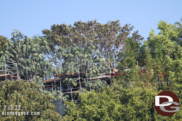 A closer look at the tree house