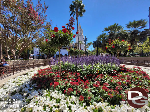 Buena Vista Street flowers