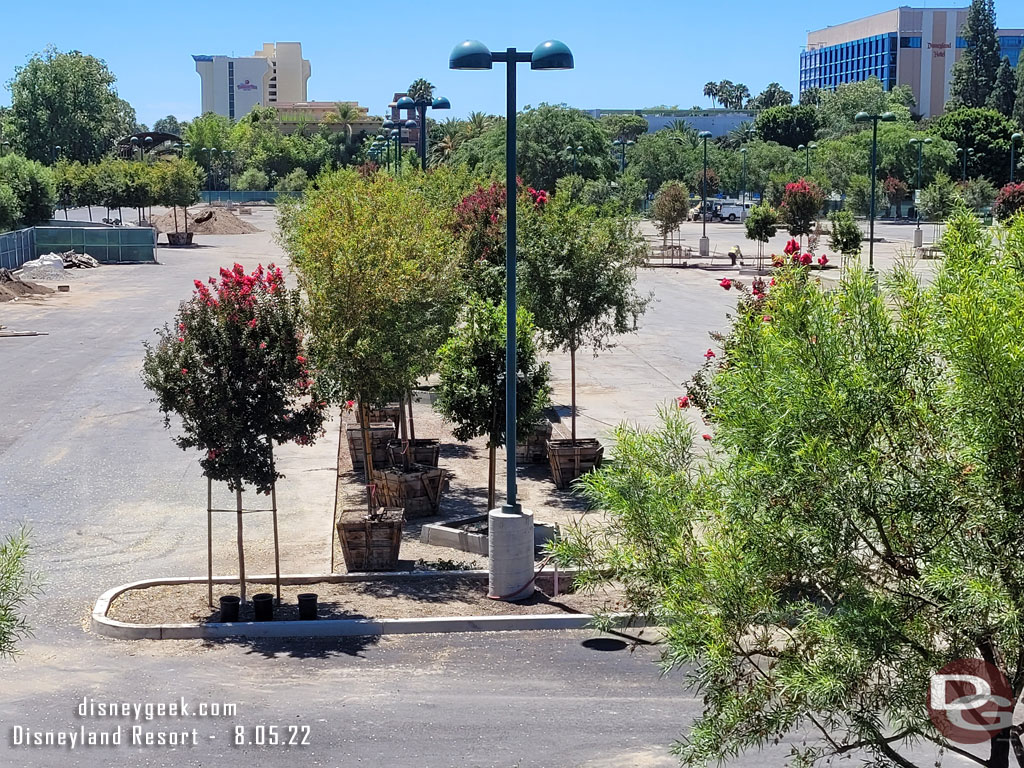 More trees staged to be planted.