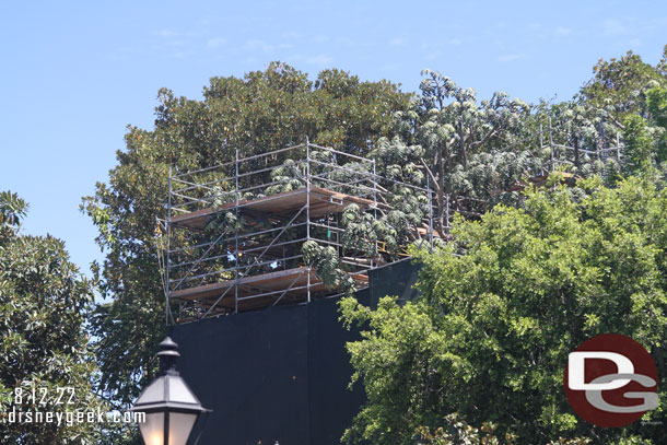 No real visible progress on the treehouse