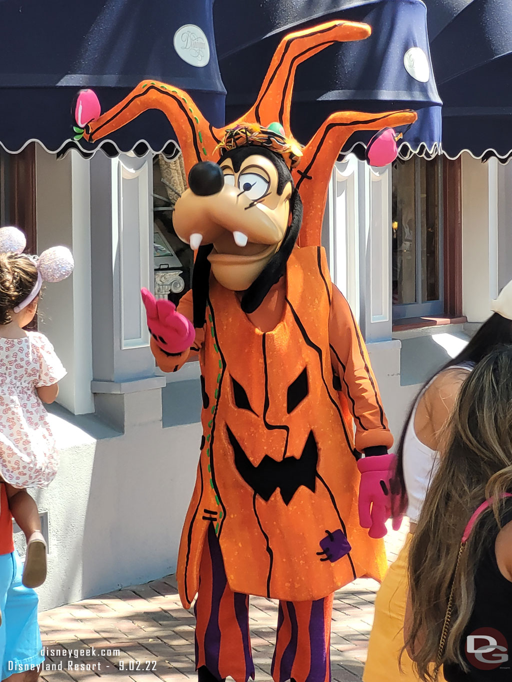 Goofy in his costume