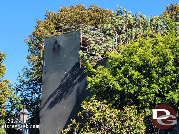 No real signs of visible progress at the treehouse.